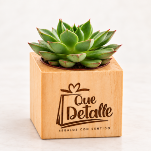 Plantita corporativa en cubo de madera personalizado